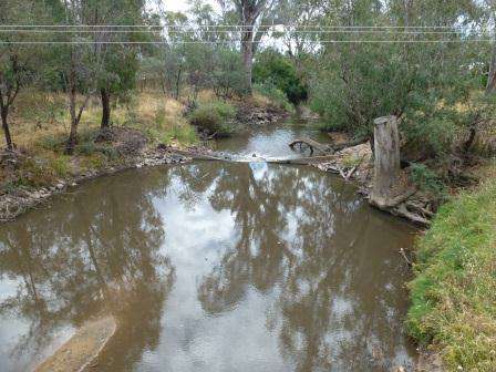 Emu Bridge